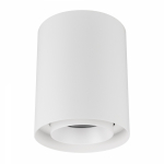 Светильник SP-FOCUS-R132-24W Day4000 (WH, 36 deg, 230V) (Arlight, IP54 Металл, 5 лет) Светильник SP-FOCUS-R132-24W Day4000 (WH, 36 deg, 230V) (Arlight, IP54 Металл, 5 лет)