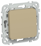 FLITE Выключ. 1-кл. кноп. 10А ВС11-2-0-ФлХ хак. IEK FLITE Выключ. 1-кл. кноп. 10А ВС11-2-0-ФлХ хак. IEK