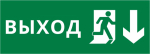Пиктограмма ДСО-101-IP20 "Выход Фигура - вниз 2" Пиктограмма ДСО-101-IP20 "Выход Фигура - вниз 2"