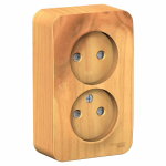 Розетка 2гн без З/К шторки о/у ясень изол.пласт. 16А IP20 Blanca Schneider Electric