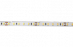 Лента светодиодная PLS PRO-5 2835/120-24V 4000K 10W/m IP20-5m Jazzway Лента светодиодная PLS PRO-5 2835/120-24V 4000K 10W/m IP20-5m Jazzway