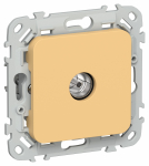 FLITE Роз. TV экран. оконечная тип M РТВм-1-1-1-ФлЗ зол. IEK