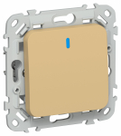 FLITE Выключ. 1-кл. с инд. 10А ВС11-1-1-ФлШм ш/а IEK FLITE Выключ. 1-кл. с инд. 10А ВС11-1-1-ФлШм ш/а IEK