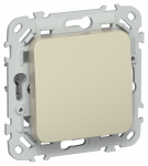 FLITE Выключ. 1-кл. 2п. 10А ВС6/21-1-2-ФлШ шам. IEK