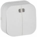 GLORY Выключ. 2-кл. с инд. о/у 10А ВС20-2-1-ХБм бел. м. IEK