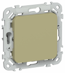 FLITE Заглушка с суппортом ЗГ-ФлО ол. IEK