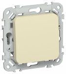 FLITE Выключ. 1-кл. 10А ВС11-1-0-ФлН нав. IEK FLITE Выключ. 1-кл. 10А ВС11-1-0-ФлН нав. IEK