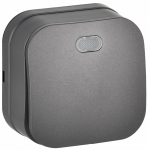 GLORY Выключ. 1-кл. с инд. о/у 10А ВС20-1-1-ХСм сталь м. IEK GLORY Выключ. 1-кл. с инд. о/у 10А ВС20-1-1-ХСм сталь м. IEK