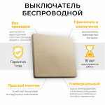 Выключатель дистанционного управления 230V 500W одноклавишный TM81, золото Выключатель дистанционного управления 230V 500W одноклавишный TM81, золото