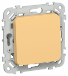 FLITE Выключ. 1-кл. 10А ВС11-1-0-ФлЗ зол. IEK FLITE Выключ. 1-кл. 10А ВС11-1-0-ФлЗ зол. IEK