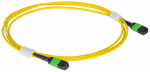 ITK Сборка кабельная MTPM-MTPM тип A 8 SM OS2 20м ITK Сборка кабельная MTPM-MTPM тип A 8 SM OS2 20м