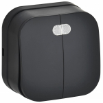 GLORY Выключ. 2-кл. с инд. о/у 10А ВС20-2-1-ХЧм черн. м. IEK GLORY Выключ. 2-кл. с инд. о/у 10А ВС20-2-1-ХЧм черн. м. IEK