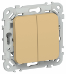 FLITE Выключ. 2-кл. прох. 10А ВС62-1-0-ФлШм ш/а IEK