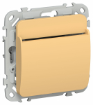 FLITE Выключ. карточный 30А ВК-0-ФлЗ зол. IEK FLITE Выключ. карточный 30А ВК-0-ФлЗ зол. IEK