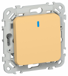 FLITE Выключ. 1-кл. прох. с инд. 10А ВС61-1-1-ФлЗ зол. IEK