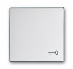 Клавиша одинарная перекидная символ «ключ/дверь» пластик алюминий матовая ABB Накладки Future/Axcent/Carat/ДИНАСТИЯ