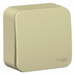 Выключатель 1кл прох о/у крем изол.пл. IP20 Blanca Systeme Electric (1/15) Выключатель 1кл прох о/у крем изол.пл. IP20 Blanca Systeme Electric (1/15)