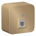 Розетка 1гн ТФ RJ11 о/у титан изол.пласт. IP20 Blanca Schneider Electric