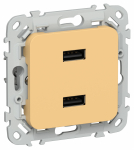 FLITE Роз. USB AA 2,1А РЮ-2-ФлЗ зол. IEK