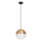 Светильник SP-EMISFERO-HANG-BUILT-R150-11W Day4000 (GD, 170 deg, 230V) (Arlight, IP20 Металл, 3 года) Светильник SP-EMISFERO-HANG-BUILT-R150-11W Day4000 (GD, 170 deg, 230V) (Arlight, IP20 Металл, 3 года)