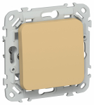 FLITE Выключ. 1-кл. прох. 10А ВС61-1-0-ФлШм ш/а IEK