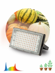 Прожектор ФИТО 80Вт 5000К полного спектра IP65 FITO-80W-Ra90-LED-Y ЭРА