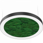 NATURE OREOL MOSS FLD/P (850) 840 WH NATURE OREOL MOSS FLD/P (850) 840 WH