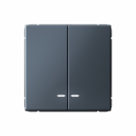 Выключатель 2кл с подсв с/у грифель механизм быстрозажим ArtGallery Systeme Electric (1/20)