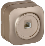 GLORY Роз. комп. RJ45 кат.5E о/у РК10-ХШм шамп. м. IEK