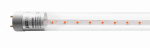 Лампа светодиод 8Вт лин Т8 G13 600мм Agro PLED G13 ( для растений) Jazzway