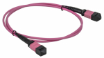 ITK Сборка кабельная MTPM-MTPM тип A 8 MM OM4 30м ITK Сборка кабельная MTPM-MTPM тип A 8 MM OM4 30м