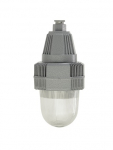 GLOBUS LED 25 D120 G Ex