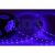 LED лента открытая, 8мм, IP23, SMD 3528, 60 LED/m, 12V, синяя (5м/рулон) Neon-Night (1/1/50)