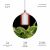 Светильник для растений ЭРА FITO-Hanging сeramic holder 3 m подвесной патрон керамический с кабелем и цоколем Е27