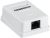 Розетка инф. настенная RJ45 кат. 5Е UTP 1 порт GENERICA Розетка инф. настенная RJ45 кат. 5Е UTP 1 порт GENERICA