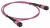 ITK Сборка кабельная MTPm-MTPm тип B 12 MM OM4 70м ITK Сборка кабельная MTPm-MTPm тип B 12 MM OM4 70м
