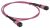ITK Сборка кабельная MTPM-MTPM тип A 8 MM OM4 100м ITK Сборка кабельная MTPM-MTPM тип A 8 MM OM4 100м