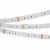 Лента RT-B60-12mm 24V RGBW-Day-4-in-1 (19.2 W/m, IP20, 5060, 5m) (ARL, Открытый)